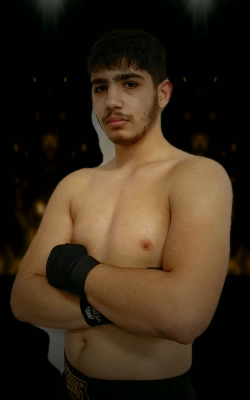 Vladimir Boberic